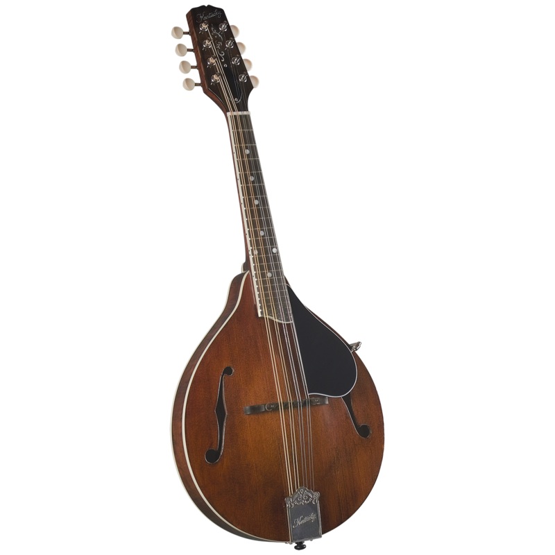 Kentucky KM-256 Artist F-model Mandolin – Transparent Brown