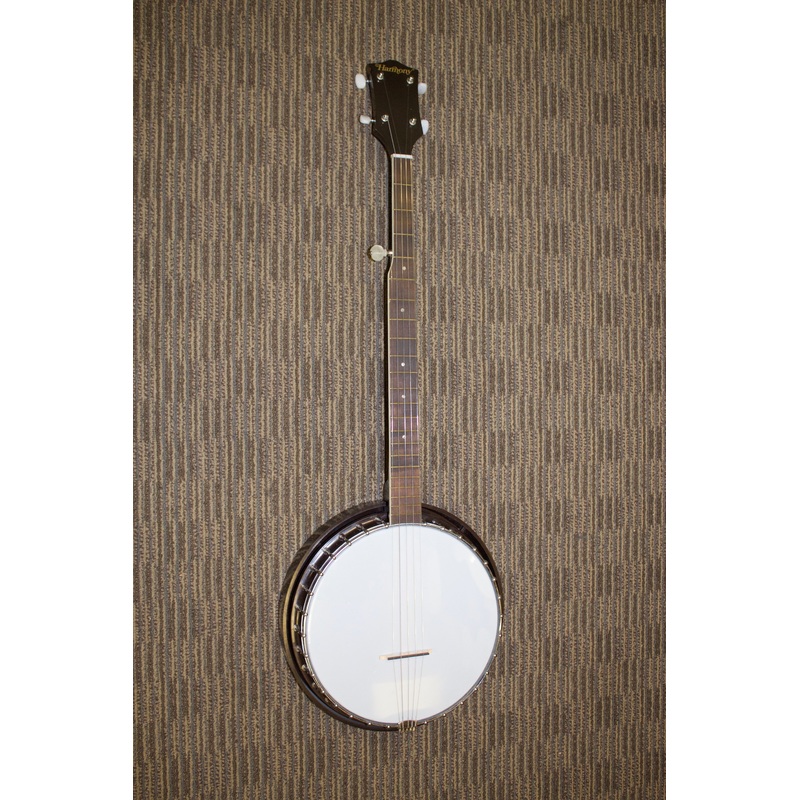 Harmony Banjo 1970s excellent!