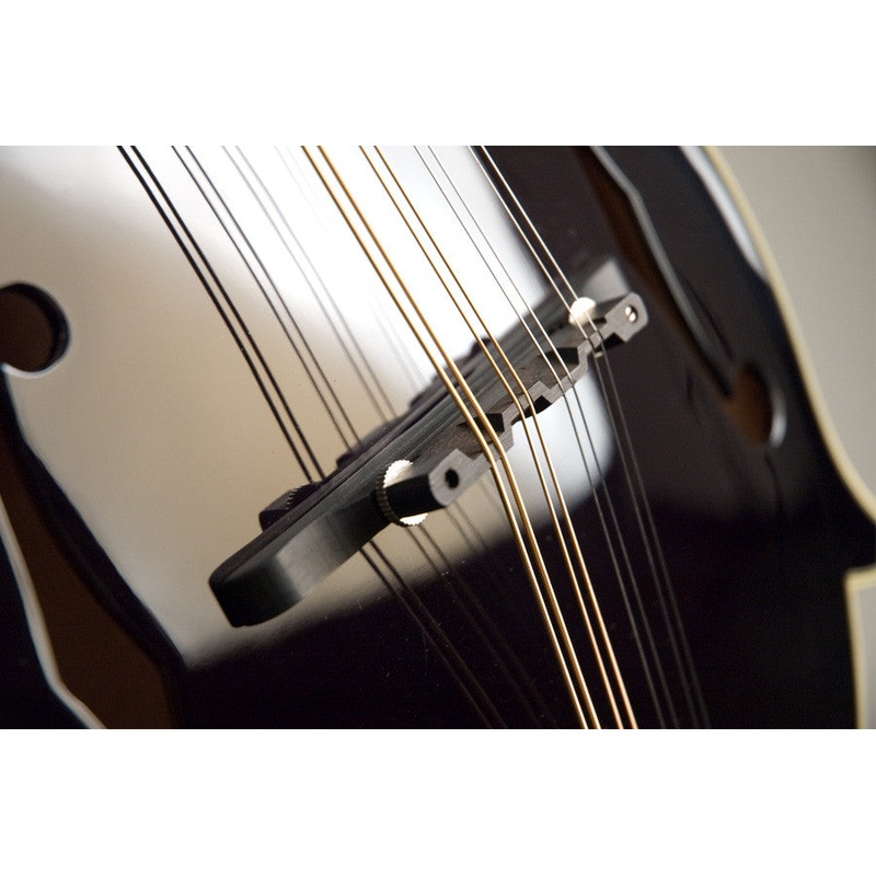 The Loar LM-600 Mandolin Black