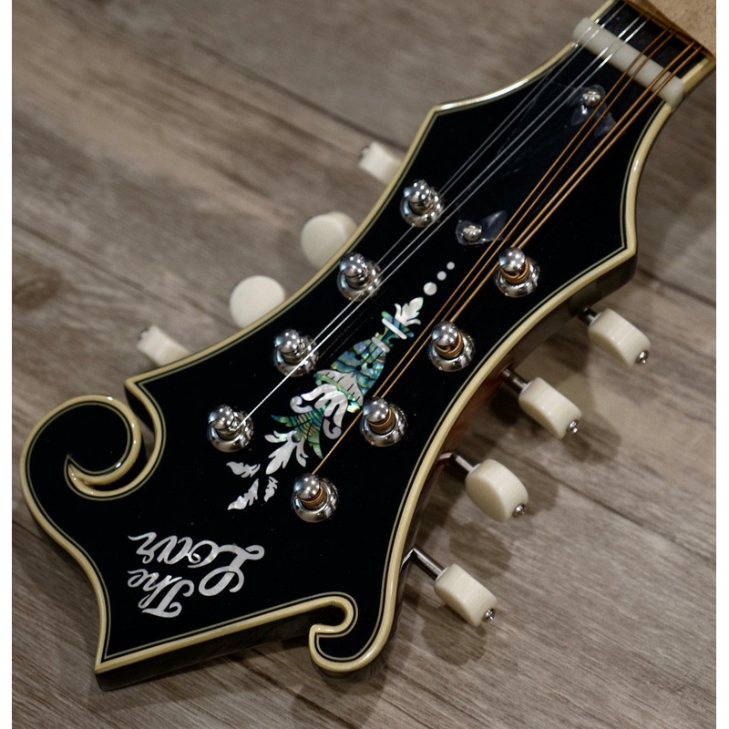 The Loar LM-600-VS Mandolin – BLEM