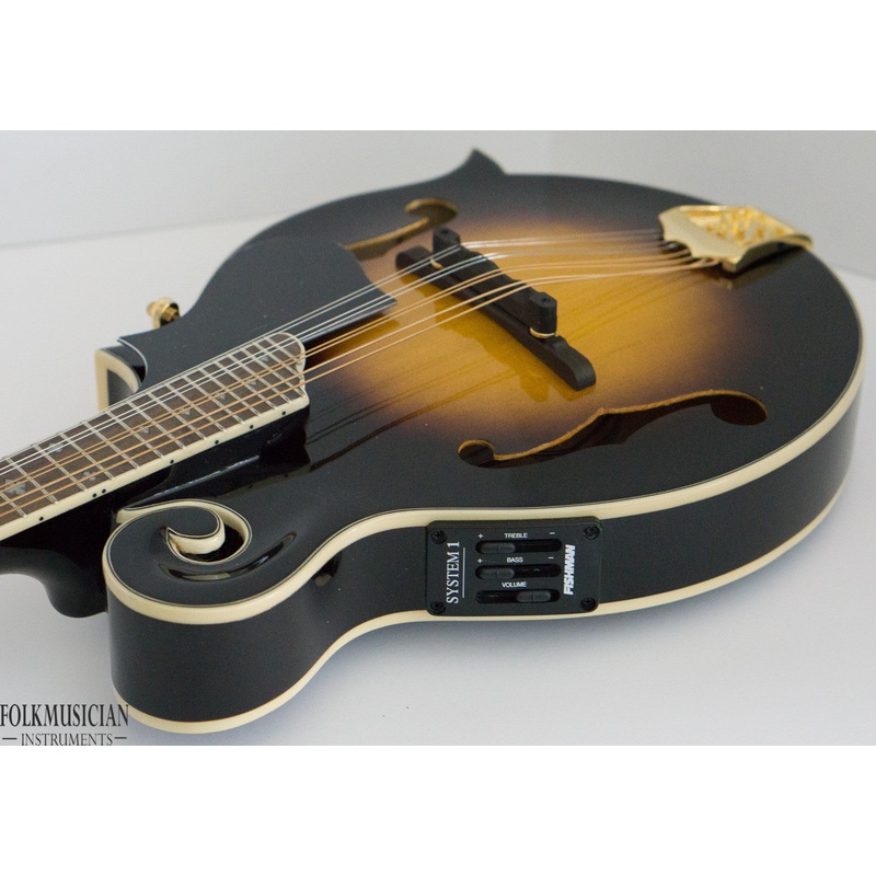 Morgan Monroe MMS-9FE Electric Mandolin for repair