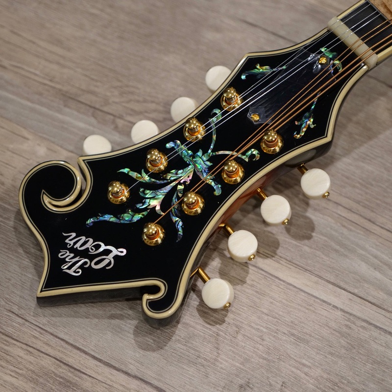 The Loar Mandolin LM-700 – BLEM