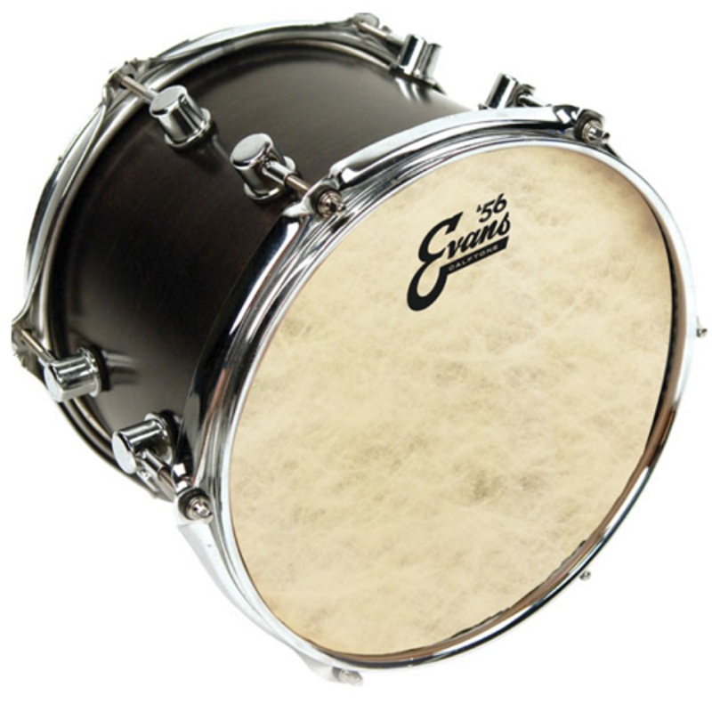 Evans Calftone Tom Batter 10 Inch Drum Heads