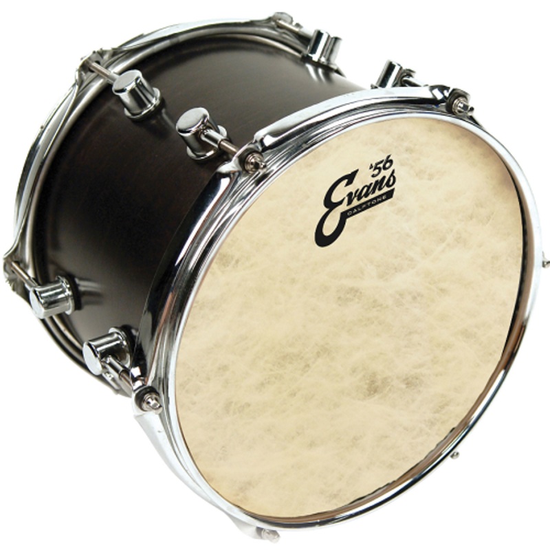 Evans Calftone Tom Batter 13 Inch Drum Head