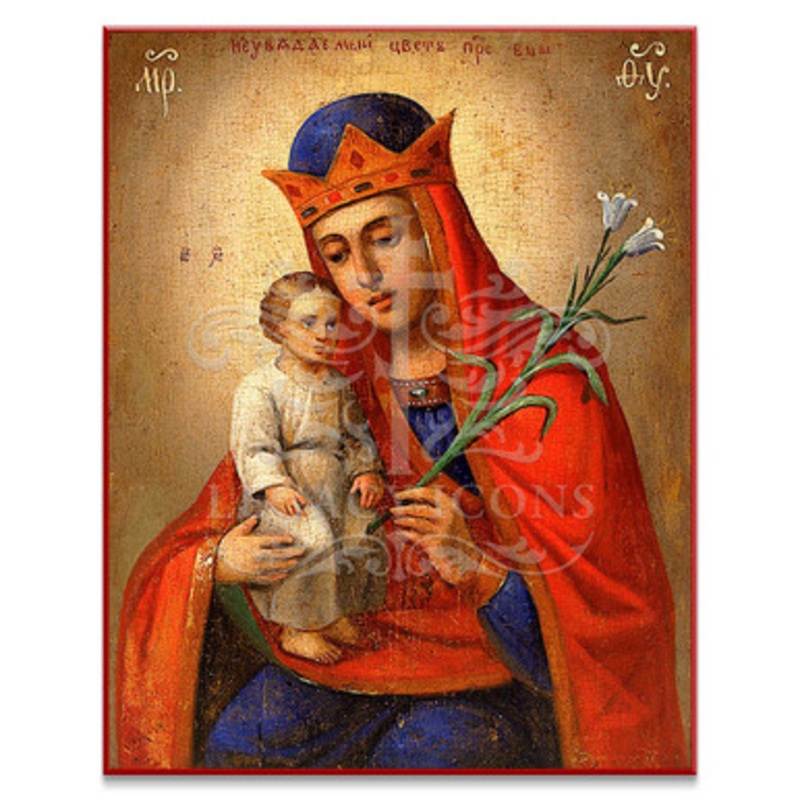 Theotokos Unfading Flower Icon – T150